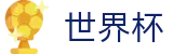 2026国际足联世界杯（中国）官方买球网站 - 独赢赔率查询与下注